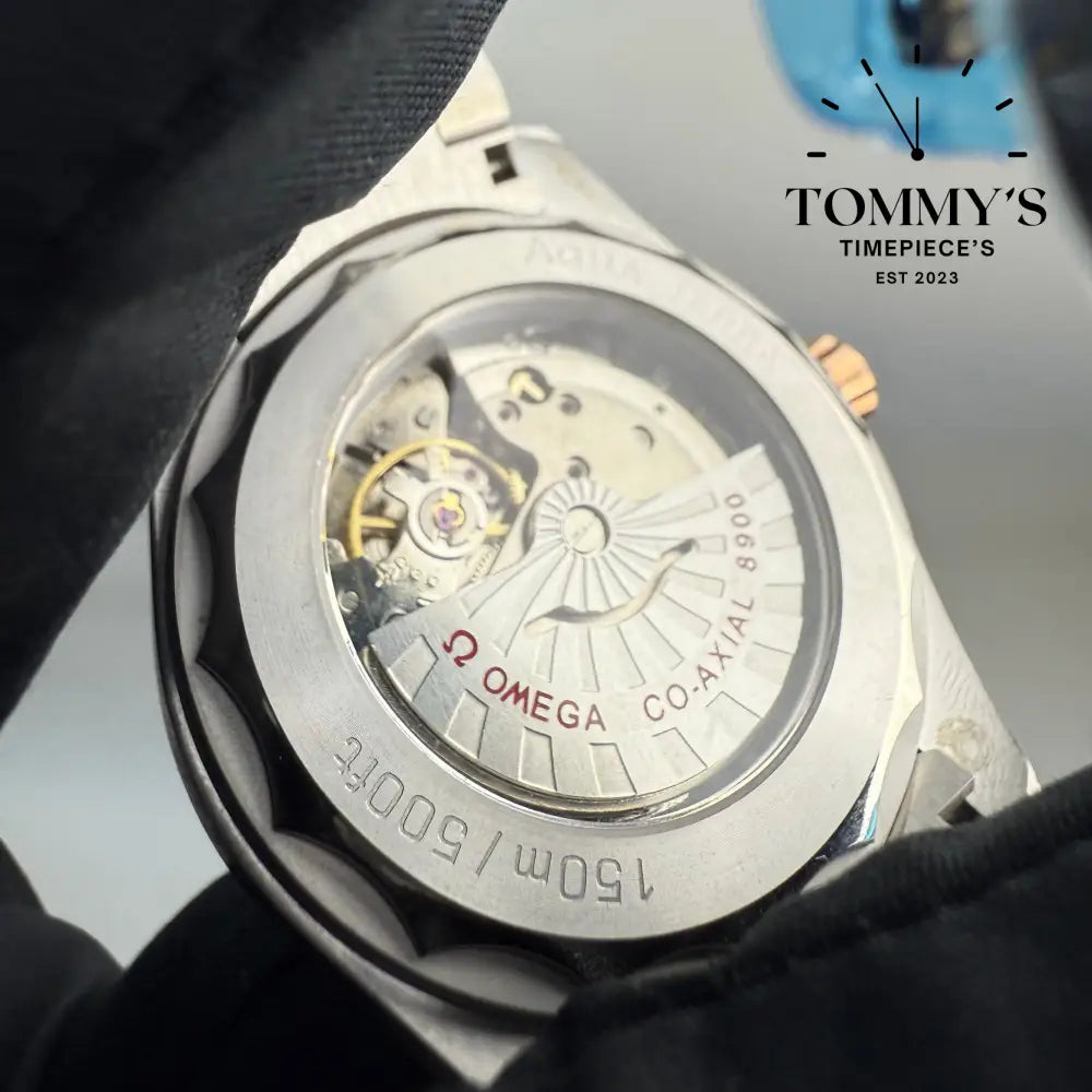 Aaa + Aqua Terra Worldtimer