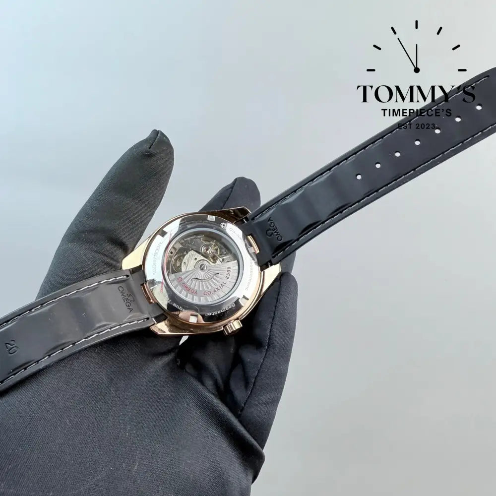 Aaa + Aqua Terra On A Strap