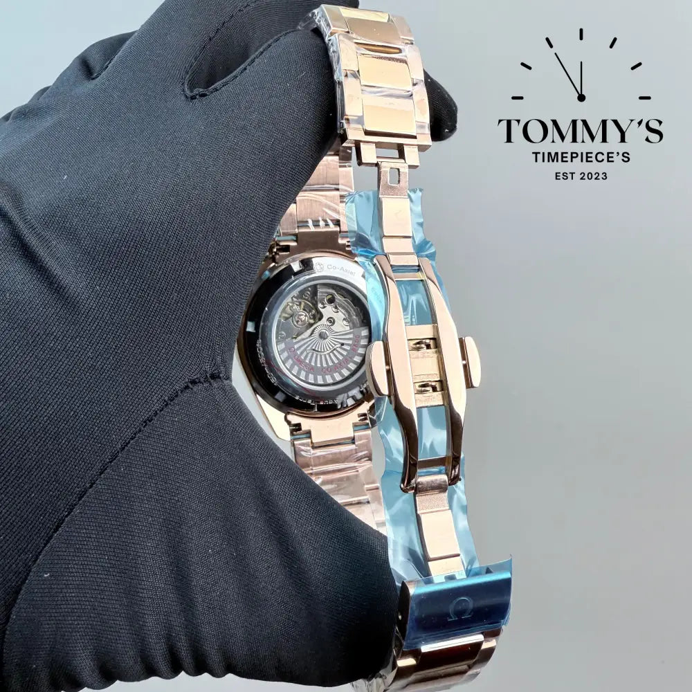 Aaa + Aqua Terra World Timer